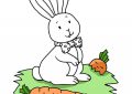 小兔子拔萝卜