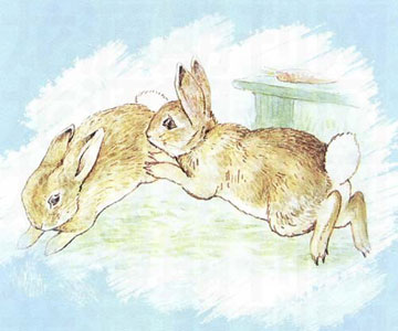 坏兔子
