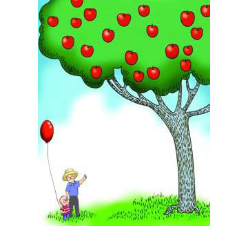 苹果树的故事