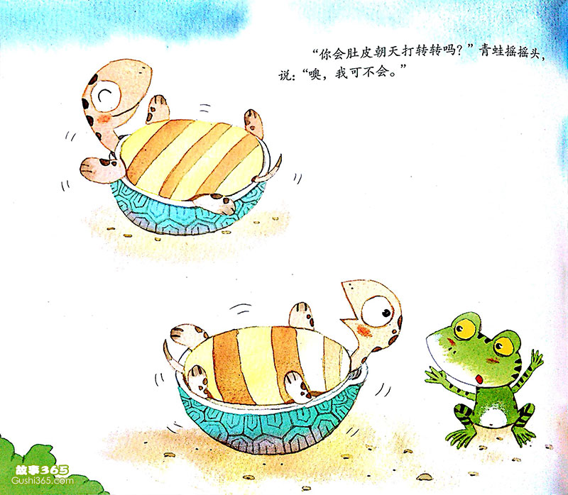 小乌龟和青蛙