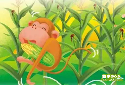 小猴子掰玉米（小猴子摘桃子）