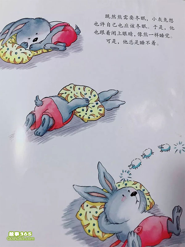 小灰兔找朋友