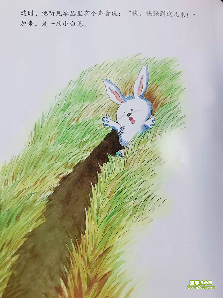 小灰兔找朋友