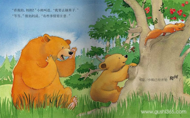 我爱妈妈-小熊爬树摘果子