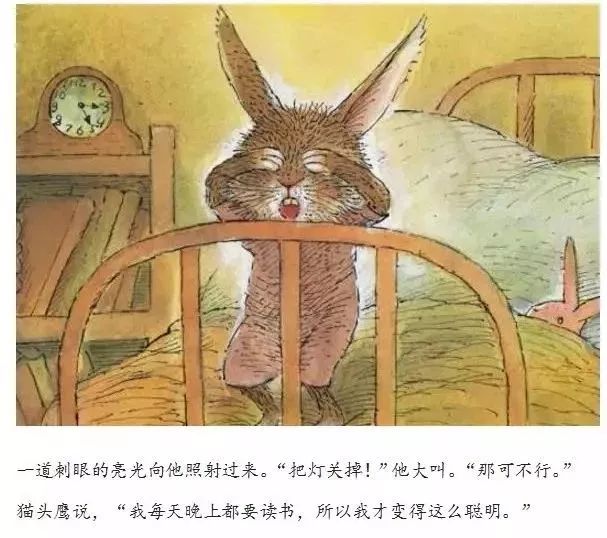 小兔温尼想换个地方睡觉