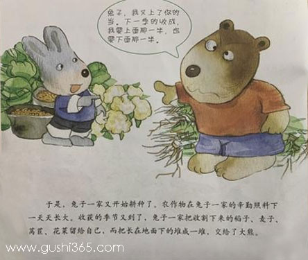 熊和兔子的故事