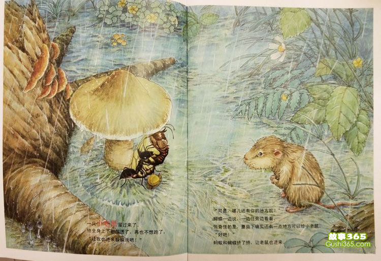 一个、两个、三个……蘑菇下躲雨