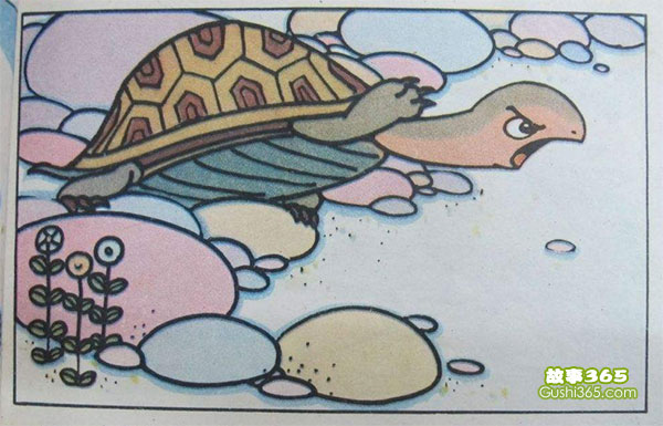 小乌龟出世记