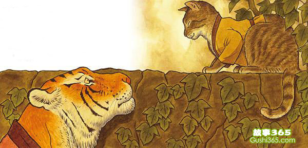 老虎和小猫