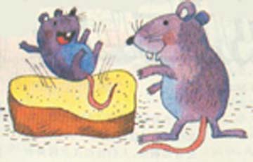 小鼹鼠的面包床